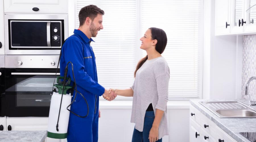 Professional german cockroach cleanout services in North Charleston, N Charleston